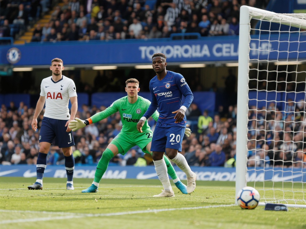 在一场虚拟 在一场虚拟