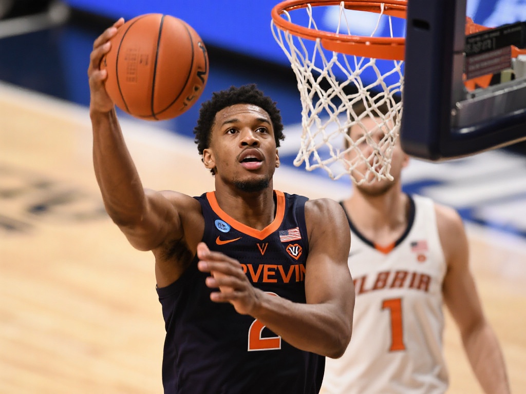 让用户不仅 让用户不仅